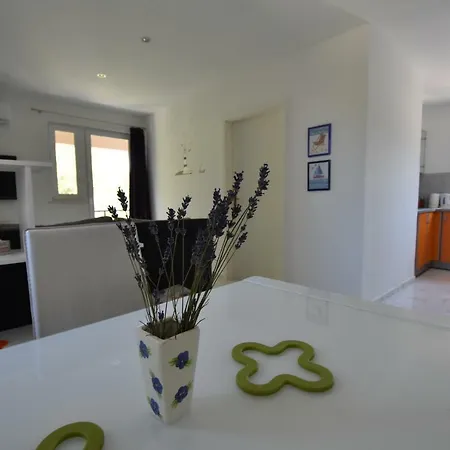 Paula Apartment *