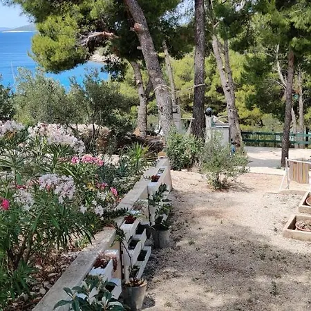 Paula Apartment Murter